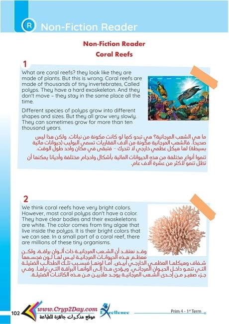 قصة الشعاب المرجانية للصف الرابع