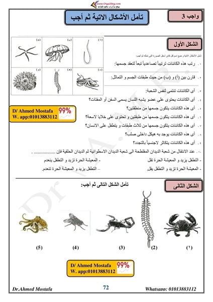 مذكرة الأحياء للصف الاول الثانوي الترم الثاني PDF